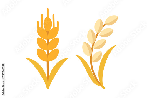 Stylized icons of mature wheat and rice grain stalks