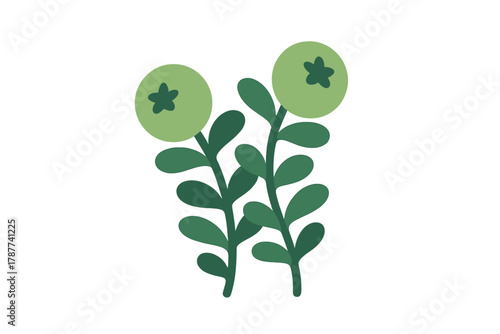 Stylized green berries on dark green stems with leaves