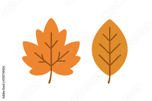 Stylized orange autumn leaves with simple brown veins