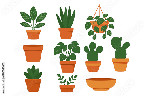 Assortment of potted houseplants and empty terracotta containers for interior design