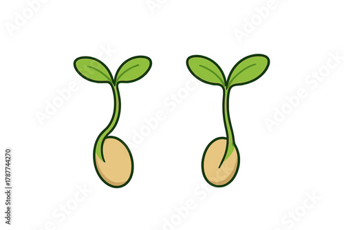 Two cartoon seedlings sprouting from seeds side by side