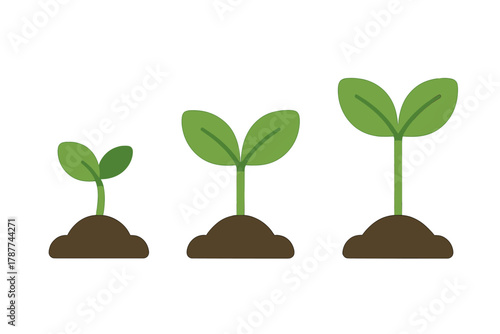 Three stages of plant seedling growth in soil isolated on white background