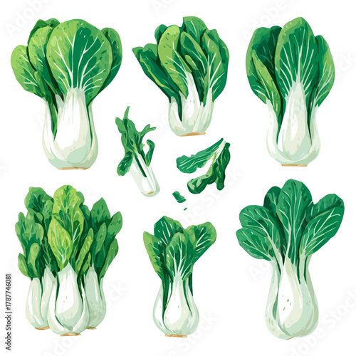 A Vibrant Bok Choy Collection, My Simple flat 2D icon isolated on a white background, flat design, EPS format, vector, flat design, animation design, flat 2D icon, minimalist design. 