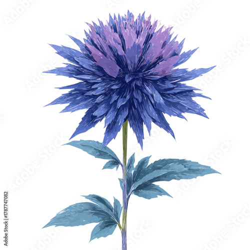 An Icon illustration, vibrant eryngium flower isolated on a white background, vector, simple flat 2D icon, minimalist design, EPS, simple illustration	