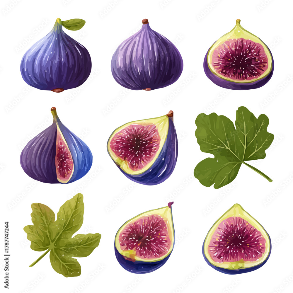 Naklejka premium An Icon illustration, Vibrant Fig Fruit Collection isolated on a white background, vector, simple flat 2D icon, minimalist design, EPS, simple illustration