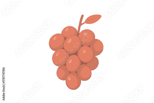 Cluster of reddish-brown round fruits with stem and leaf attached