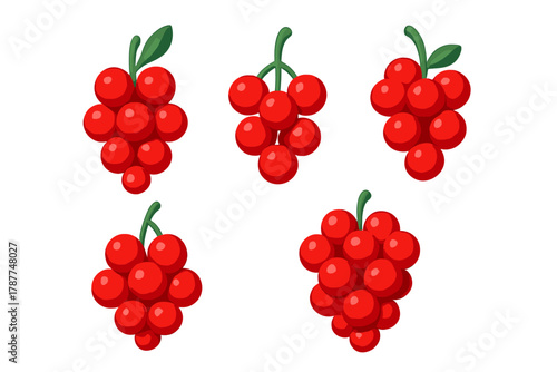 Bright red berry clusters with green stems and leaves on white background