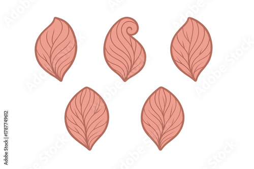 Stylized pinkish brown leaf shapes with detailed vein patterns