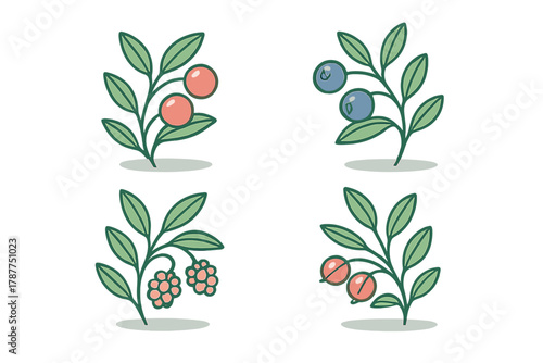 Stylized wild berry plant icons featuring green leaves and various fruits