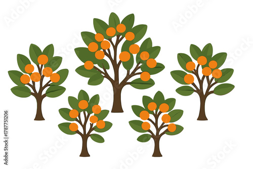 Stylized orange citrus fruit trees with vibrant green leaves