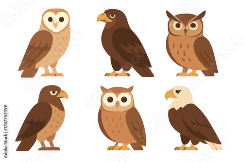 Cartoon birds of prey featuring owls, eagles, and hawks in flat design