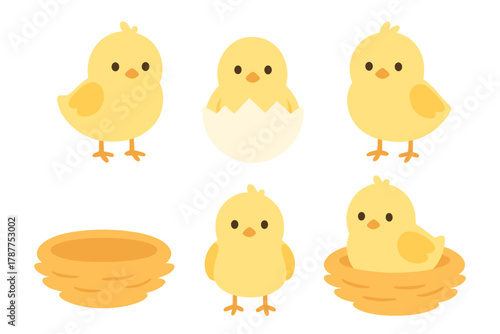 Adorable baby chicks in nests and hatching from eggs collection