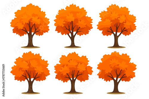 Six orange maple trees with vibrant autumn foliage