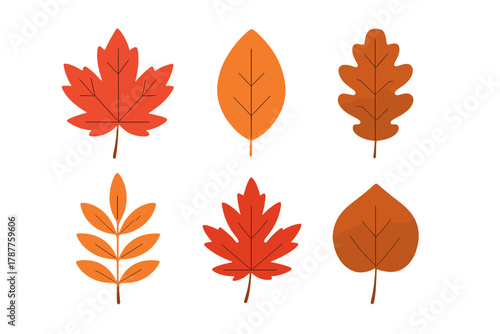 Stylized assortment of autumn leaves in warm fall colors