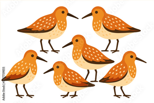 Stylized orange shorebirds with speckled plumage in group