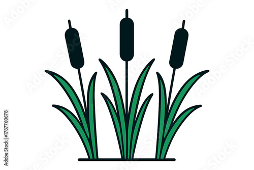 Three cattails with green leaves and dark brown flower spikes