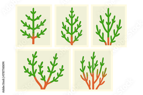 Stylized green and orange branching plant growth stages progression