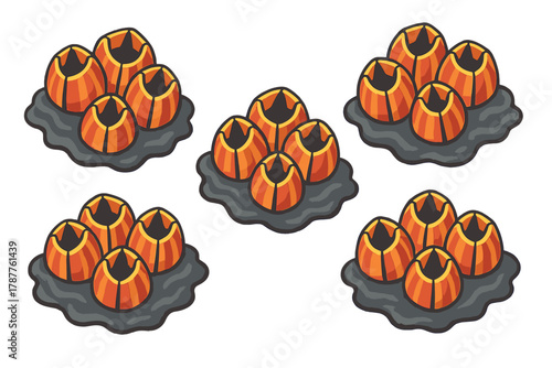 Clustered orange and yellow striped barnacles attached to dark rock base