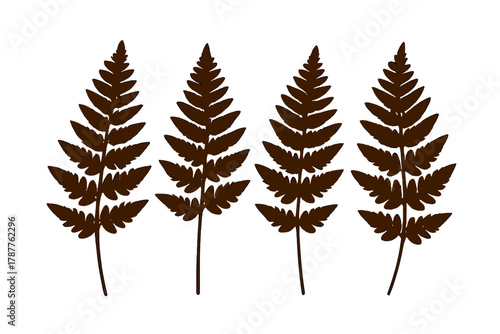 Repeating pattern of four dark brown fern fronds silhouettes on white