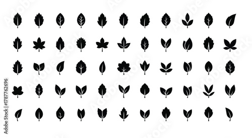 Vector art of set of leaf icons collection of various leaf shapes and types for nature, plant, and botanical design elements and illustrations