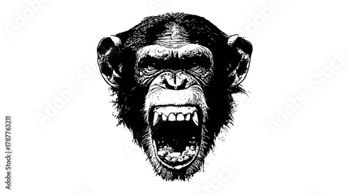 Striking black and white illustration of an angry chimpanzee's roaring face with bared teeth, intense primate animal expression.