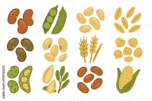 Assortment of various staple grains and legumes isolated on white background