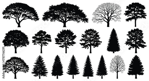 Vector art of collection of tree silhouettes, featuring diverse shapes and sizes, perfect for naturethemed designs and artistic projects