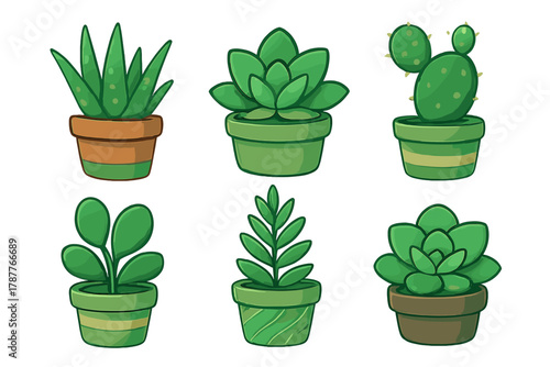 Six assorted potted succulent and cactus plants in colorful containers