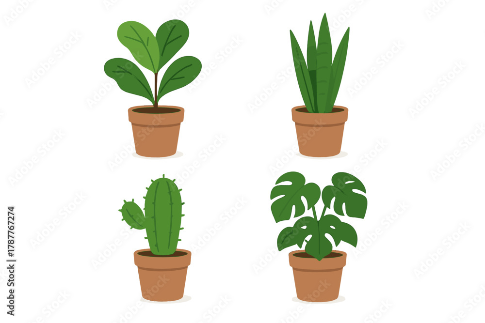 Obraz premium Four potted house plants including cactus and tropical varieties