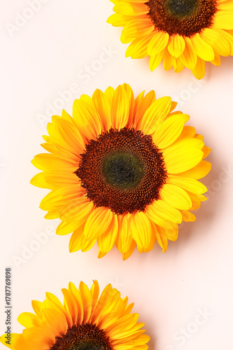 Beautiful sunflowers on pin...