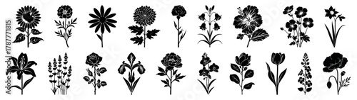 Hand drawn grunge floral vector collection. Decorative leaves sketch hatched set black vector, laser cutting, engraving, print, woodcut linocut. Abstract black brush silhouettes with simple ink blooms