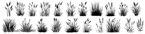 Set of ground cover elements. Grass line cad and silhouette. Bush grass shrub herb silhouette vector transparent background. Natural, eco, bio, organic. Illustration architectural element, side view