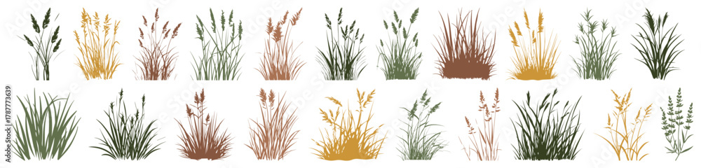 Naklejka premium Set of ground cover elements. Grass line cad and silhouette. Bush grass shrub herb silhouette vector transparent background. Natural, eco, bio, organic. Illustration architectural element, side view