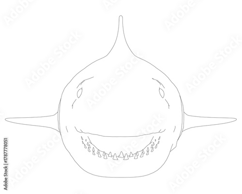 Great white shark contour drawing with a big smile, set against a plain white background. Front view