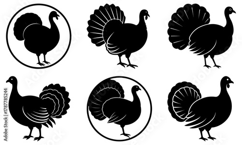 Thanksgiving Turkey Graphic Set: Celebrate the Holiday with Festive Silhouettes for Invitations, Decorations, and Seasonal Designs - Vector Origin