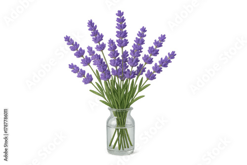 Lavender bouquet in glass vase on transparent background