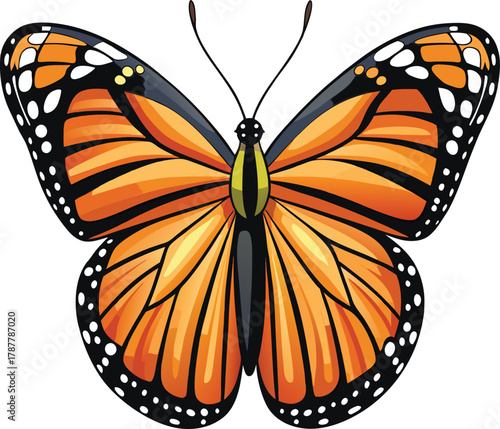 Vibrant monarch butterfly vector illustration with open wings