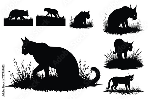 Black silhouettes of wild cats in grass lynx bobcat