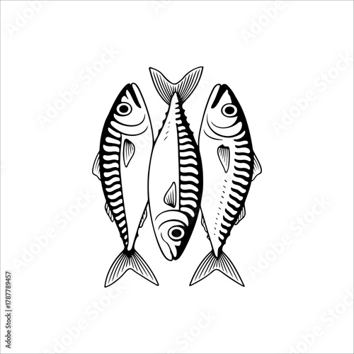 three sardines hand drawn illustration artwork