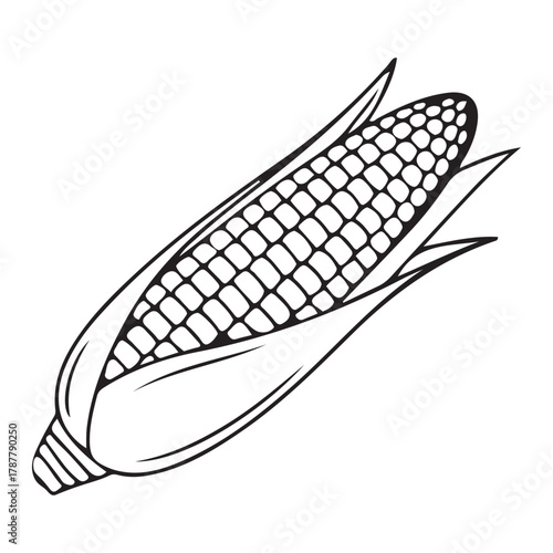 Vector file icon representing scalable graphic format document