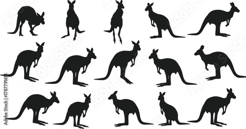 Collection of kangaroo silhouette vector illustrations, standing and walking poses of Australian wildlife animals, perfect for nature, travel, safari, and animal design projects