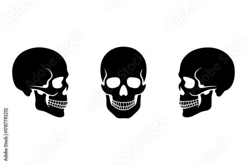 Fototapeta silhouette of  skulls, symbol of mortality