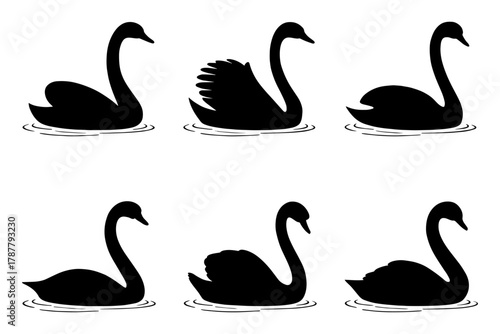 silhouette of  six elegant black swans on water surface
