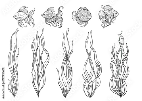 Aquarium set with ornamental fish and swaying seaweed. Vector illustrations in color and outline, detailed flowing fins and green aquatic plants for marine decor, pet habitat designs