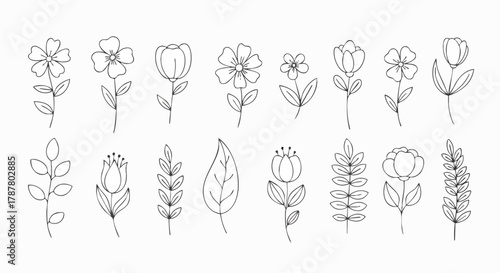 A charming collection of hand-drawn floral elements, featuring various flowers and leaves in a simple line art style. Perfect for decorative use