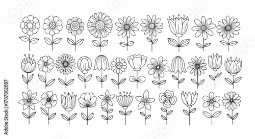 A charming collection of hand-drawn floral illustrations featuring various flower types in a simple, clean line art style