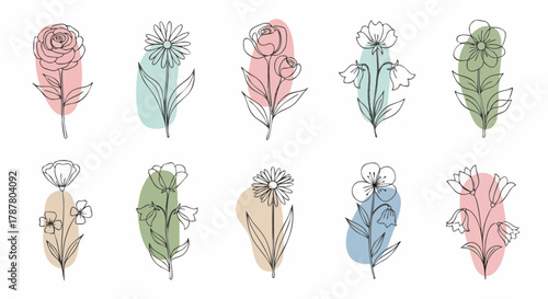 A collection of ten minimalist floral line art drawings featuring various flower types with soft pastel color block accents