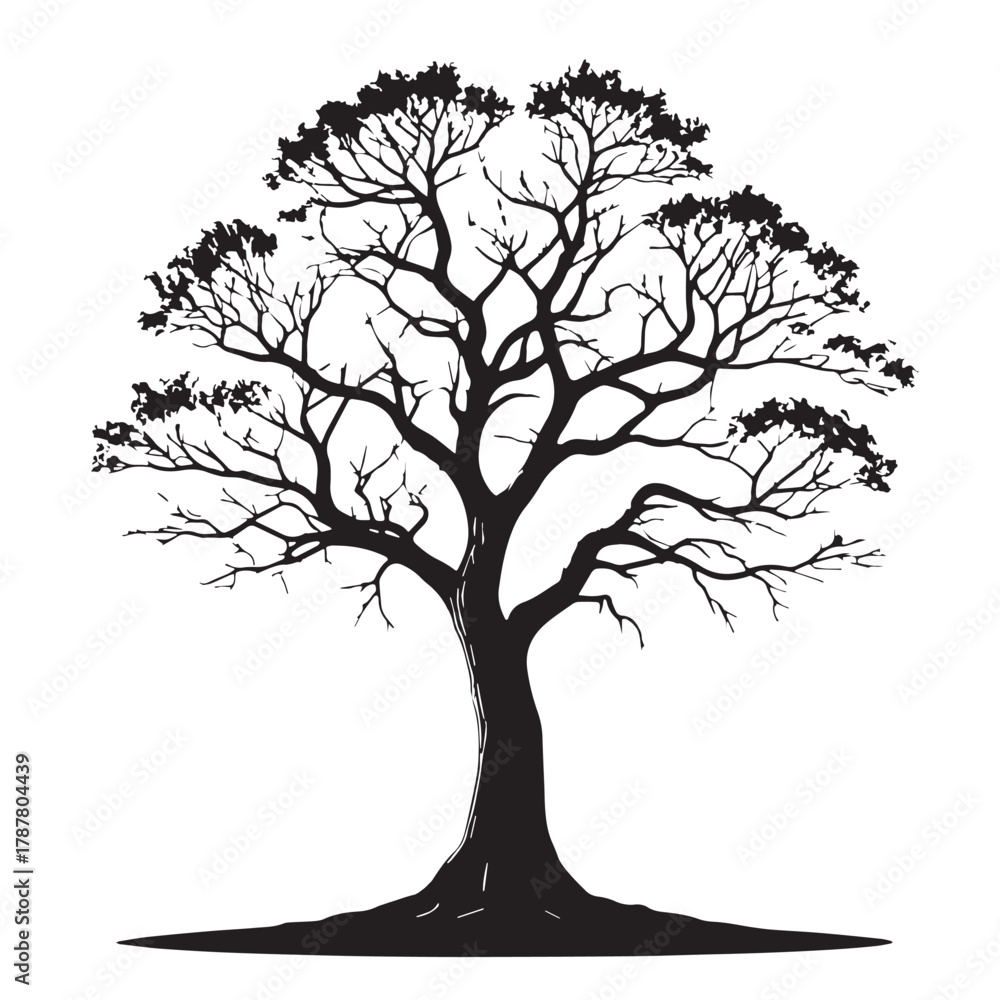 Obraz premium Black Tree Silhouette Vector, High Quality Illustration on White Background