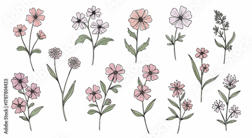 A large set of delicate hand-drawn wildflowers and herbs, illustrated in a sketch style with soft pink and purple watercolor effects