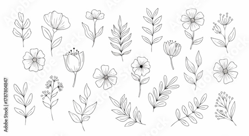 A versatile collection of elegant hand-drawn botanical elements in clean line art style
